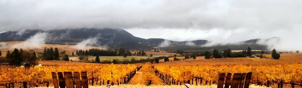 laujor-estate-fall-views